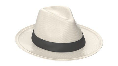 Panama Hat