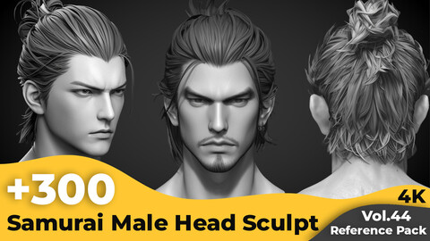 +300 Samurai Male Head Sculpt Reference Images(4k)