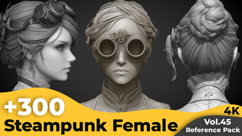 +300 Steampunk Female Head Sculpt Reference Images(4k)