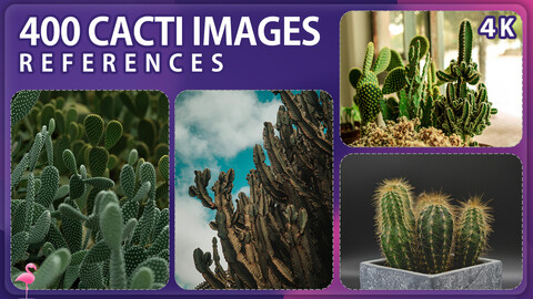 400 Cacti Image Reference Pack – Vol 1