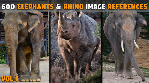 600 Elephants and Rhino Photo References - Vol 1