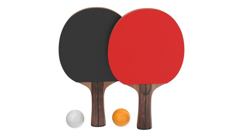 Ping Pong Paddle