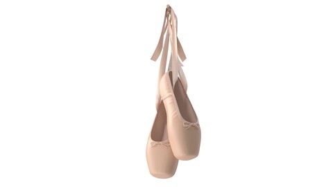 Ballet Shoes - Hanging