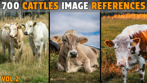 700 Cattles Photo References - Vol 2