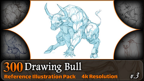 300 Drawing Bull Reference Pack | 4K | v.3