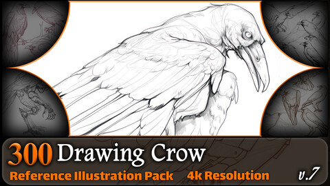 300 Drawing Crow Reference Pack | 4K | v.7