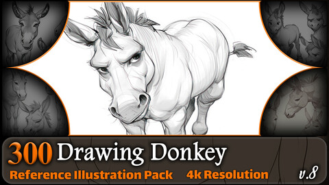 300 Drawing Donkey Reference Pack | 4K | v.8