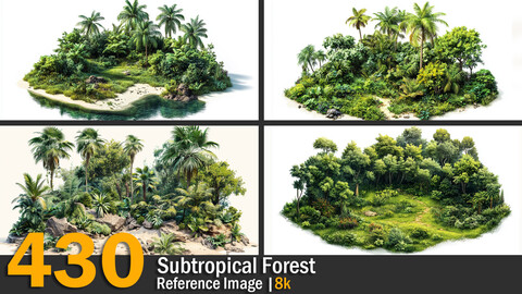 Subtropical Forest | Reference Images | 8K