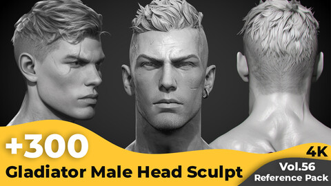 +300 Gladiator Male Head Sculpt Reference Images(4k)