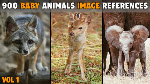 900 Baby Animals Photo References - Vol 1