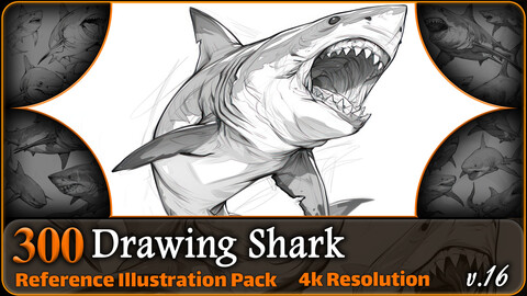 300 Drawing Shark Reference Pack | 4K | v.16