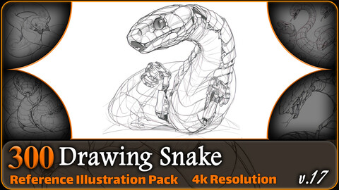 300 Drawing Snake Reference Pack | 4K | v.17