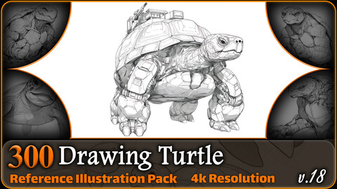 300 Drawing Turtle Reference Pack | 4K | v.18