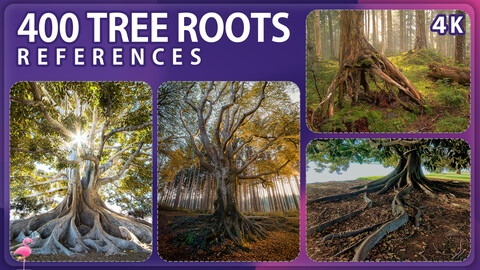 400 Tree Roots Image Reference Pack – Vol 1