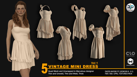 5 Vintage Mini Dress (ZPRJ+FBX+OBJ Files)