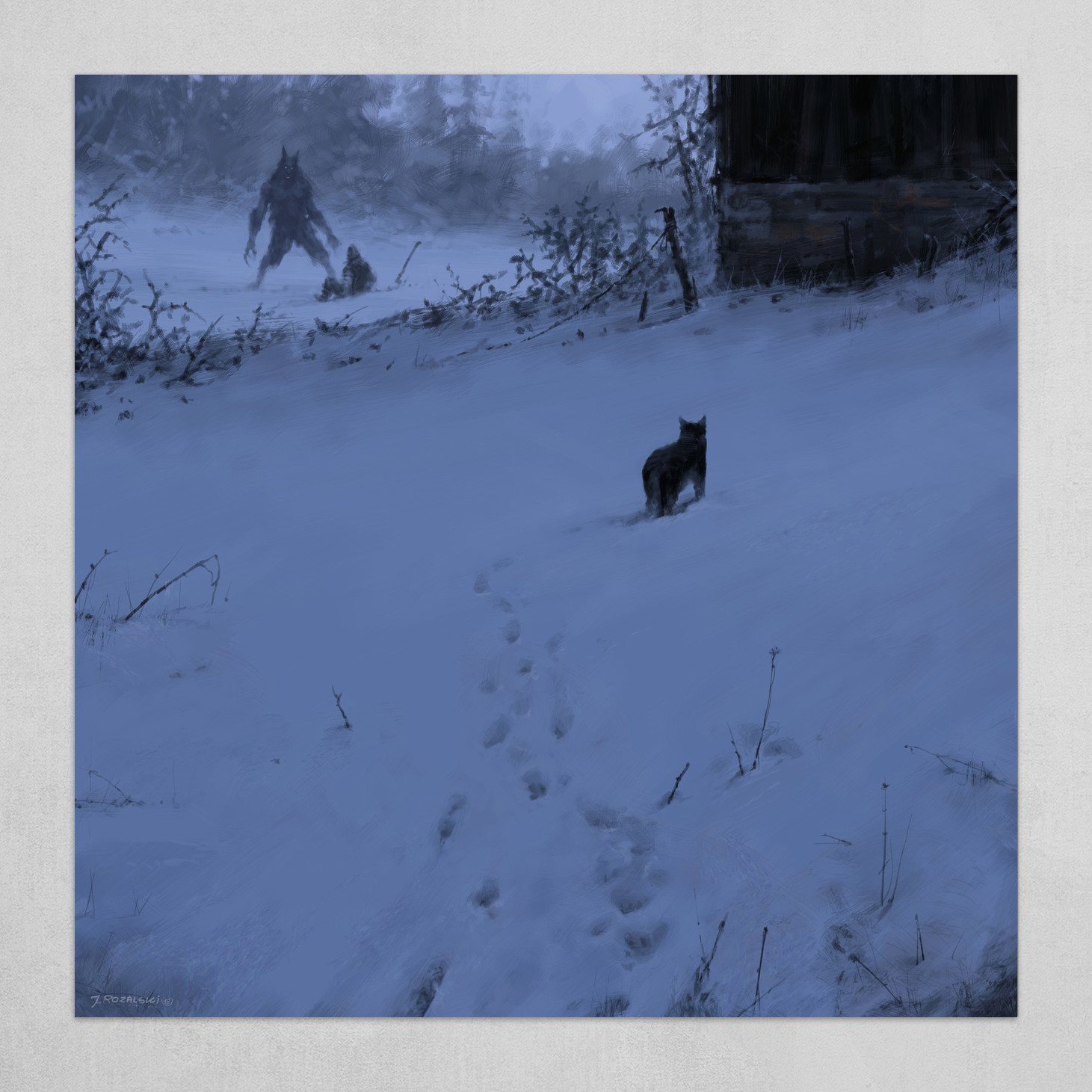 Night hunters