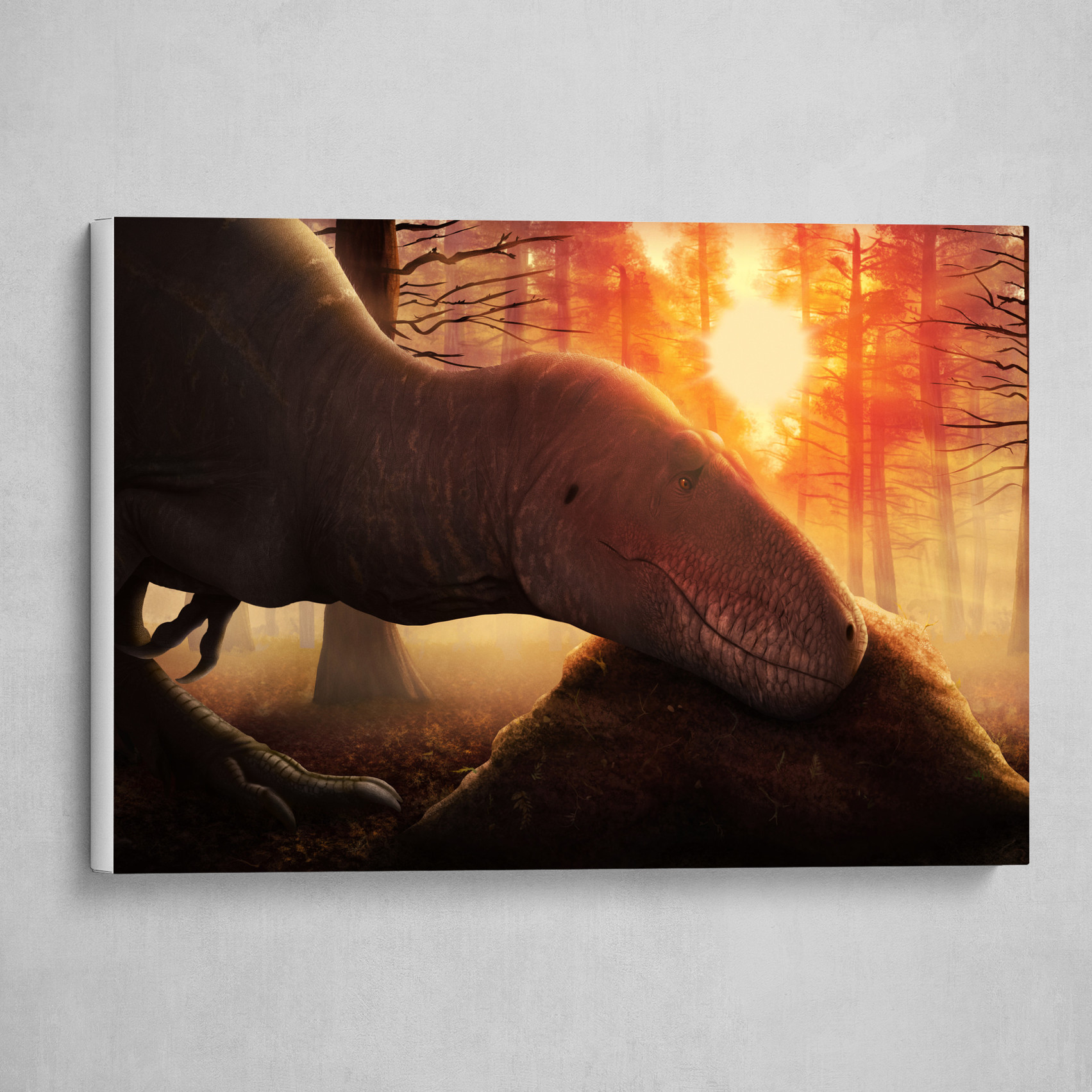 Tyrant Care - Daspletosaurus