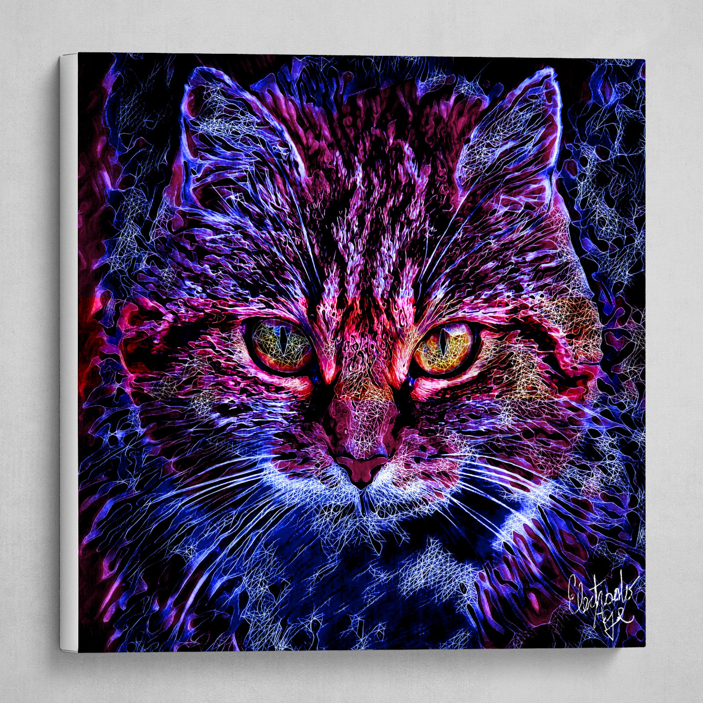 Feline Look