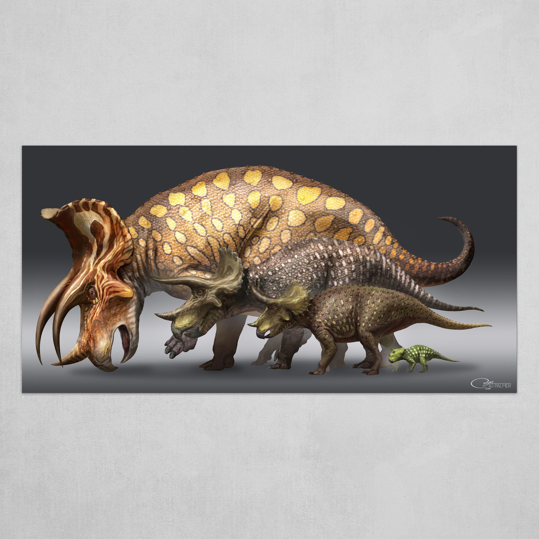 Triceratops Ontogeny