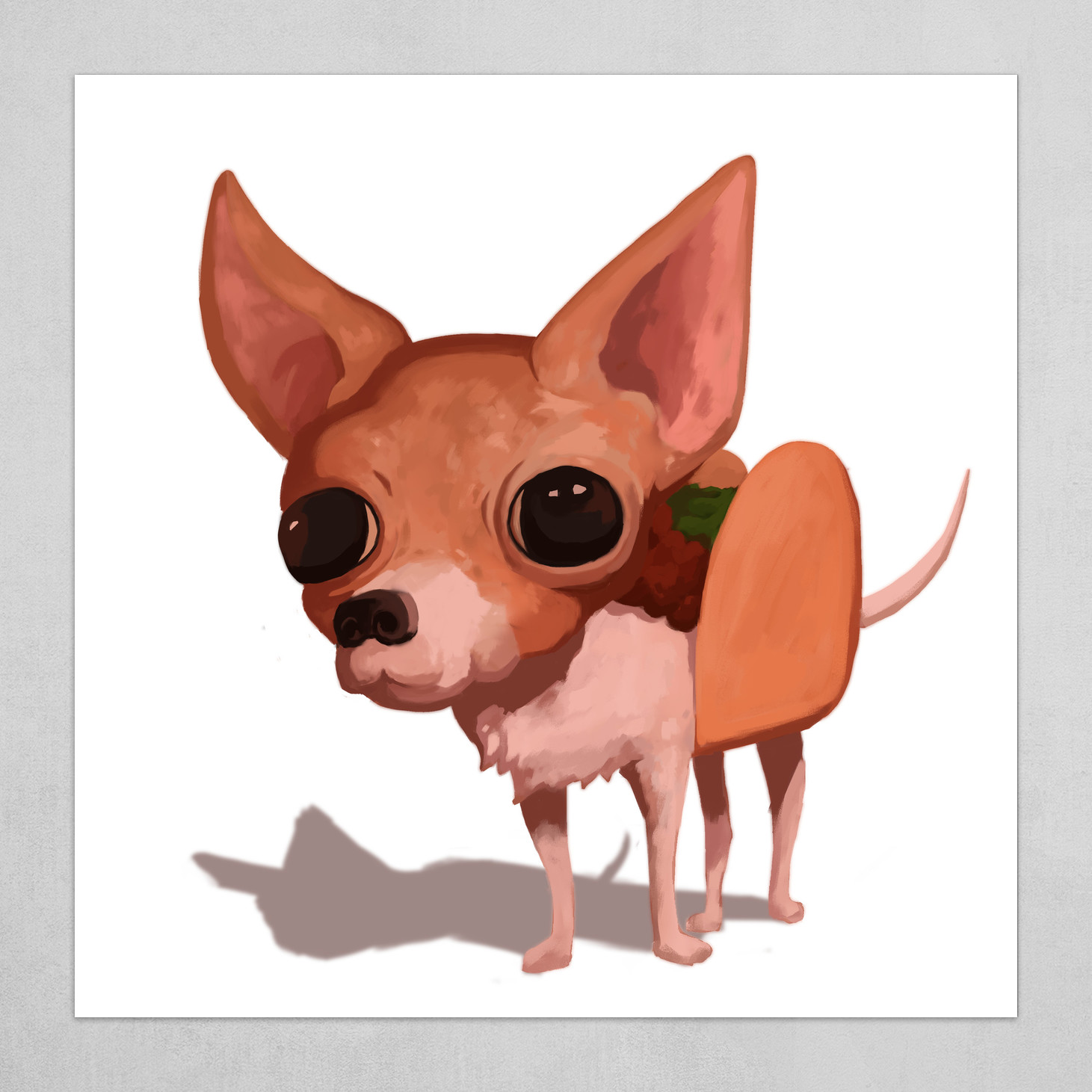 Taco hotsell chihuahua dog