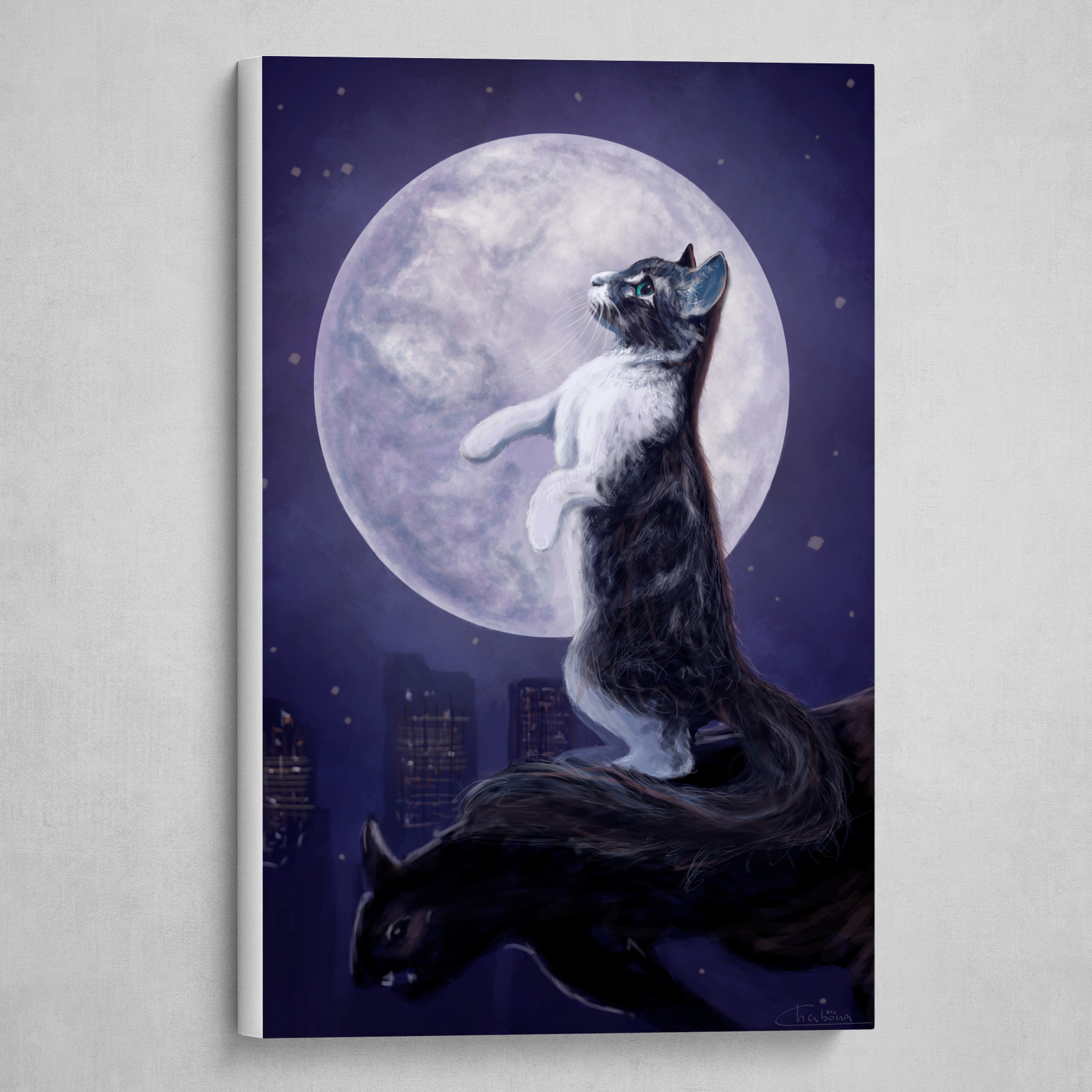 Chancha and the moon! 🐈🌙
