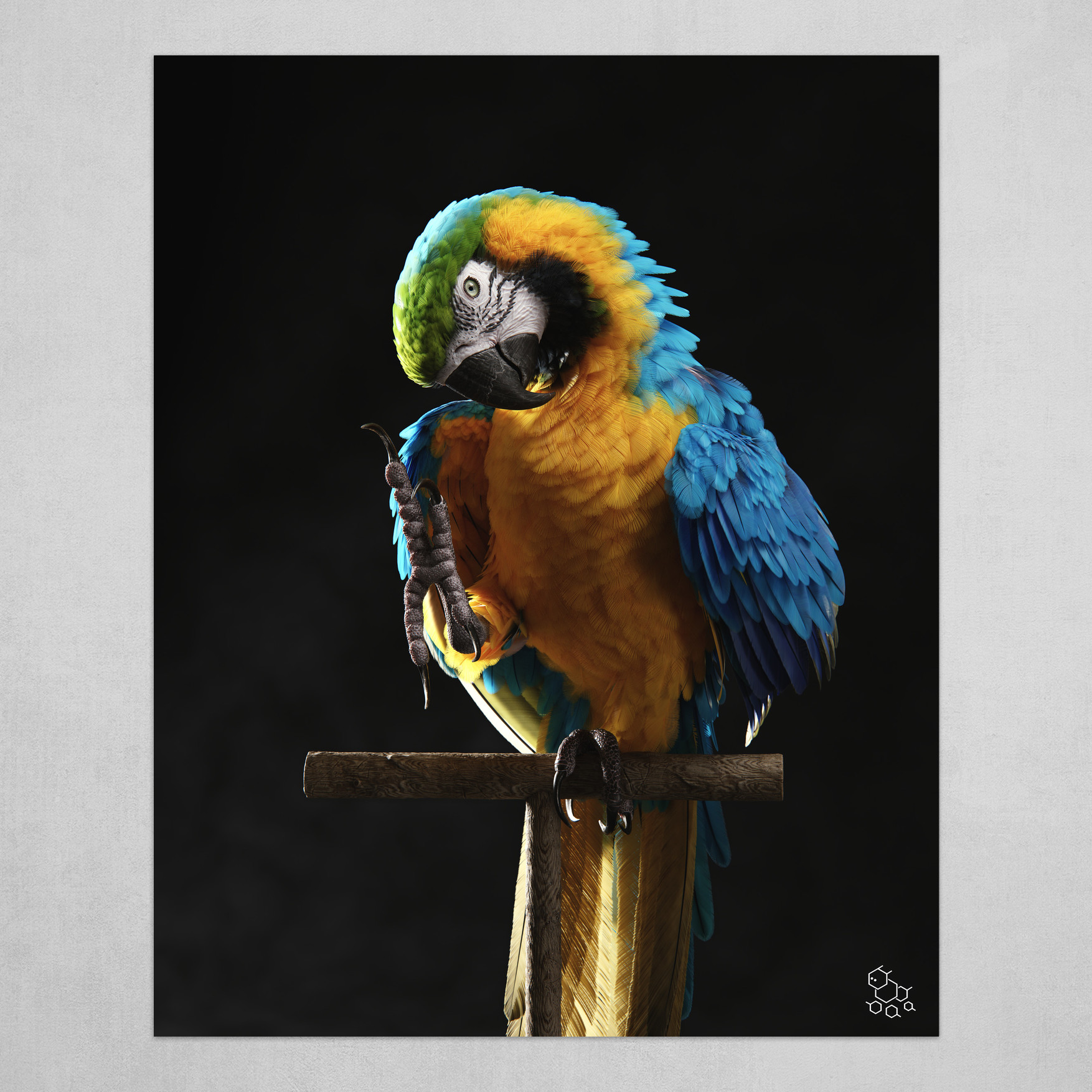 Hello blue sales parrot
