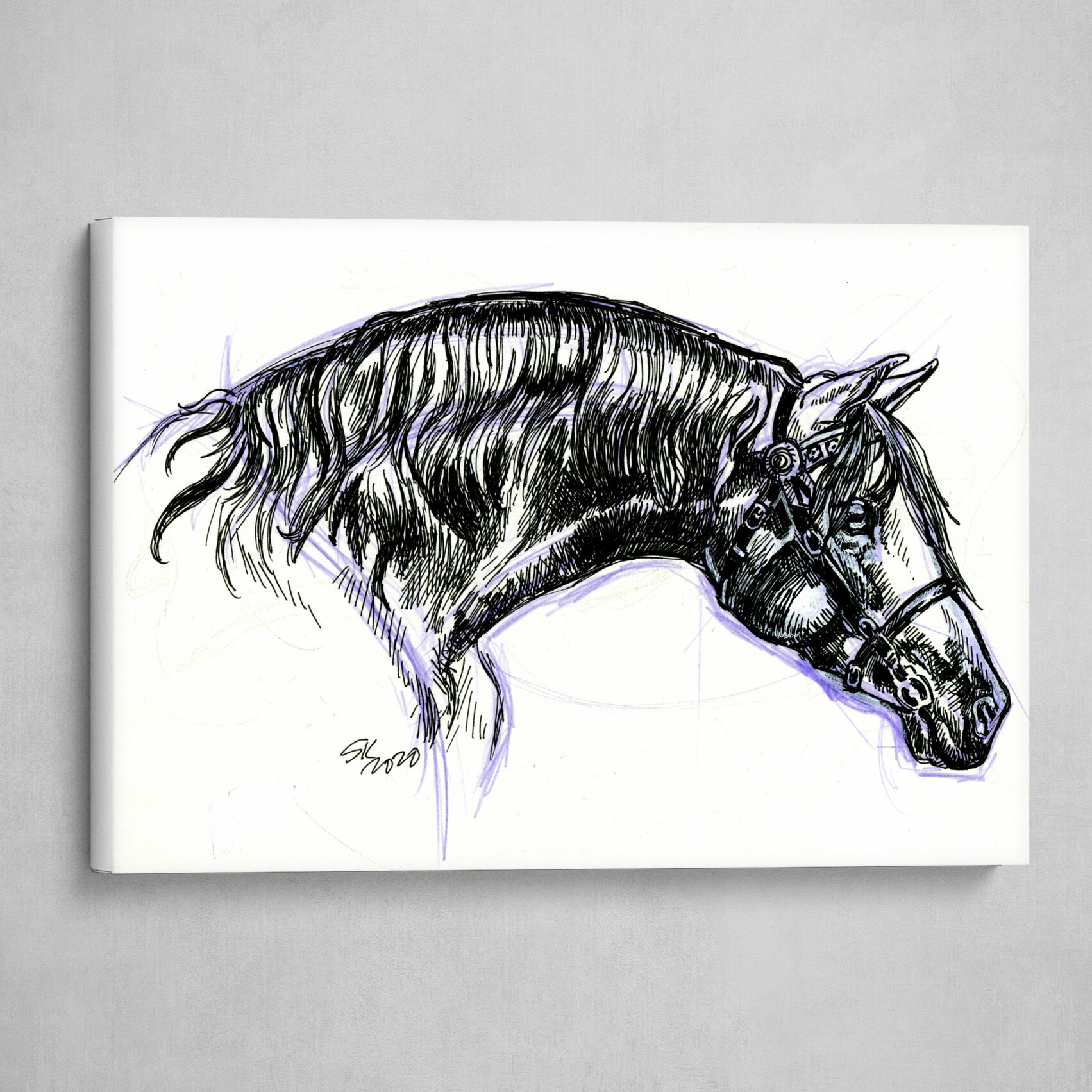 Curved: Arabian Stallion Study