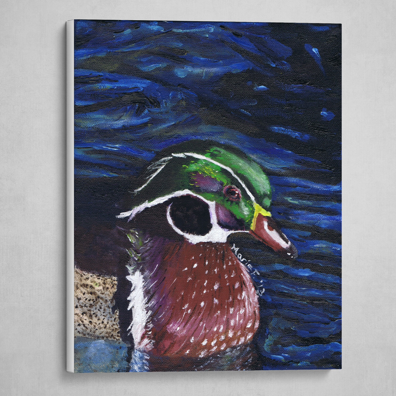 Wood Duck