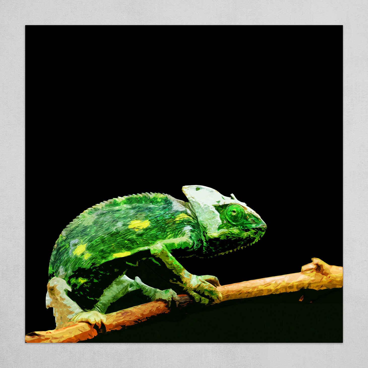 Nazar Hrabovyi Store Prints Chameleon