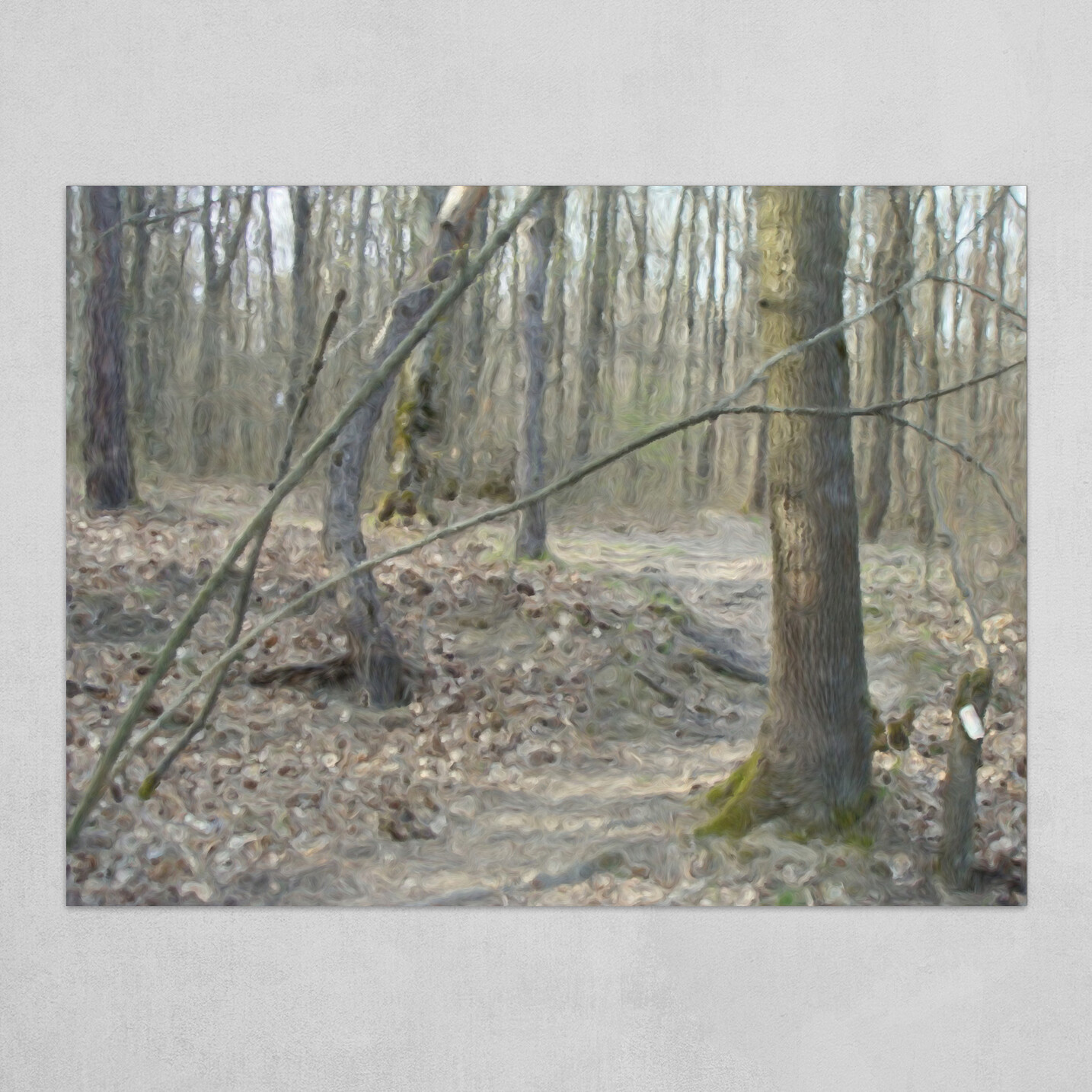 Deep Forest Path