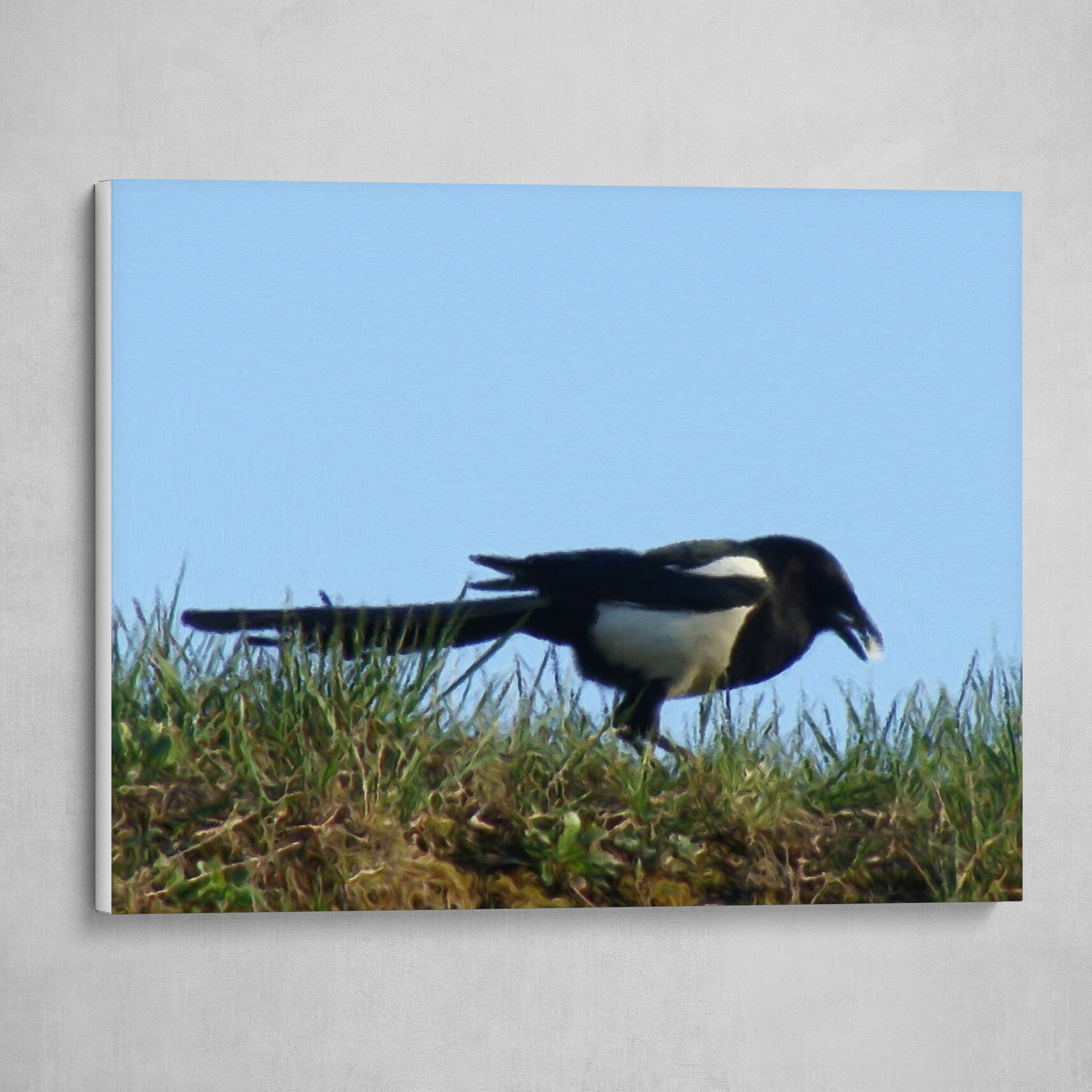 Bird Searching for Food