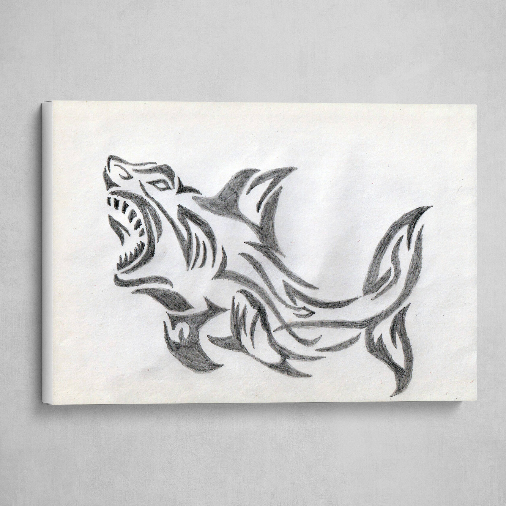 Shark Body Pencil Sketch Art Work