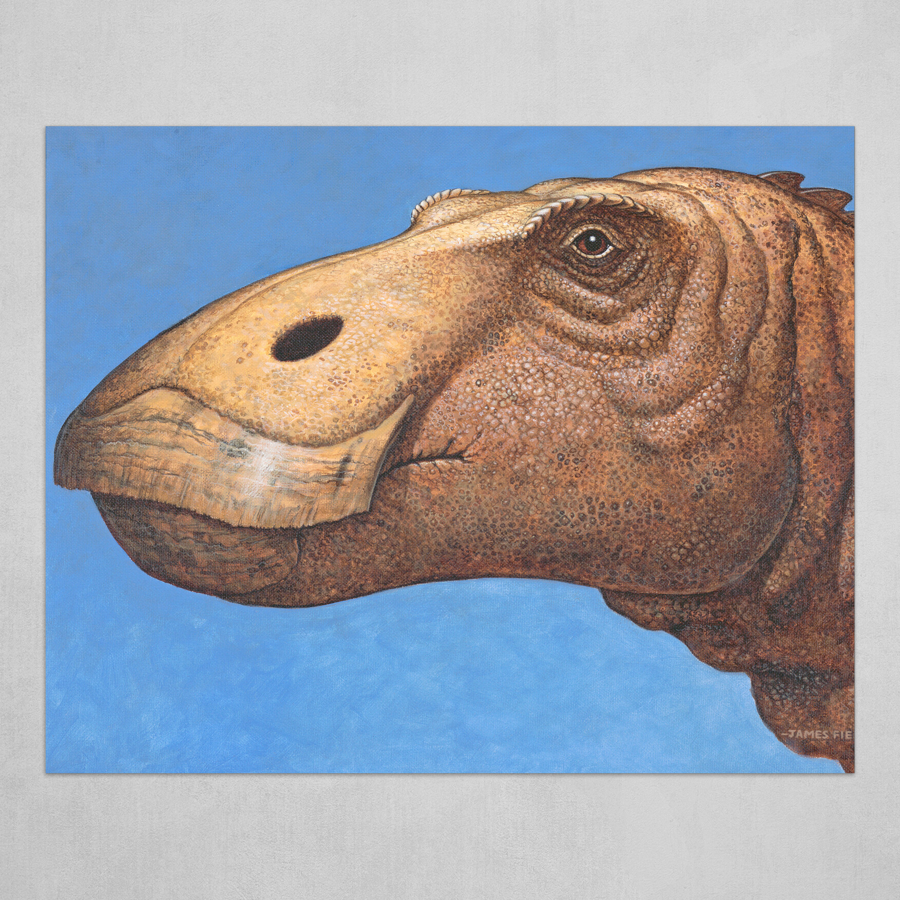 James Field's Edmontosaurus Head