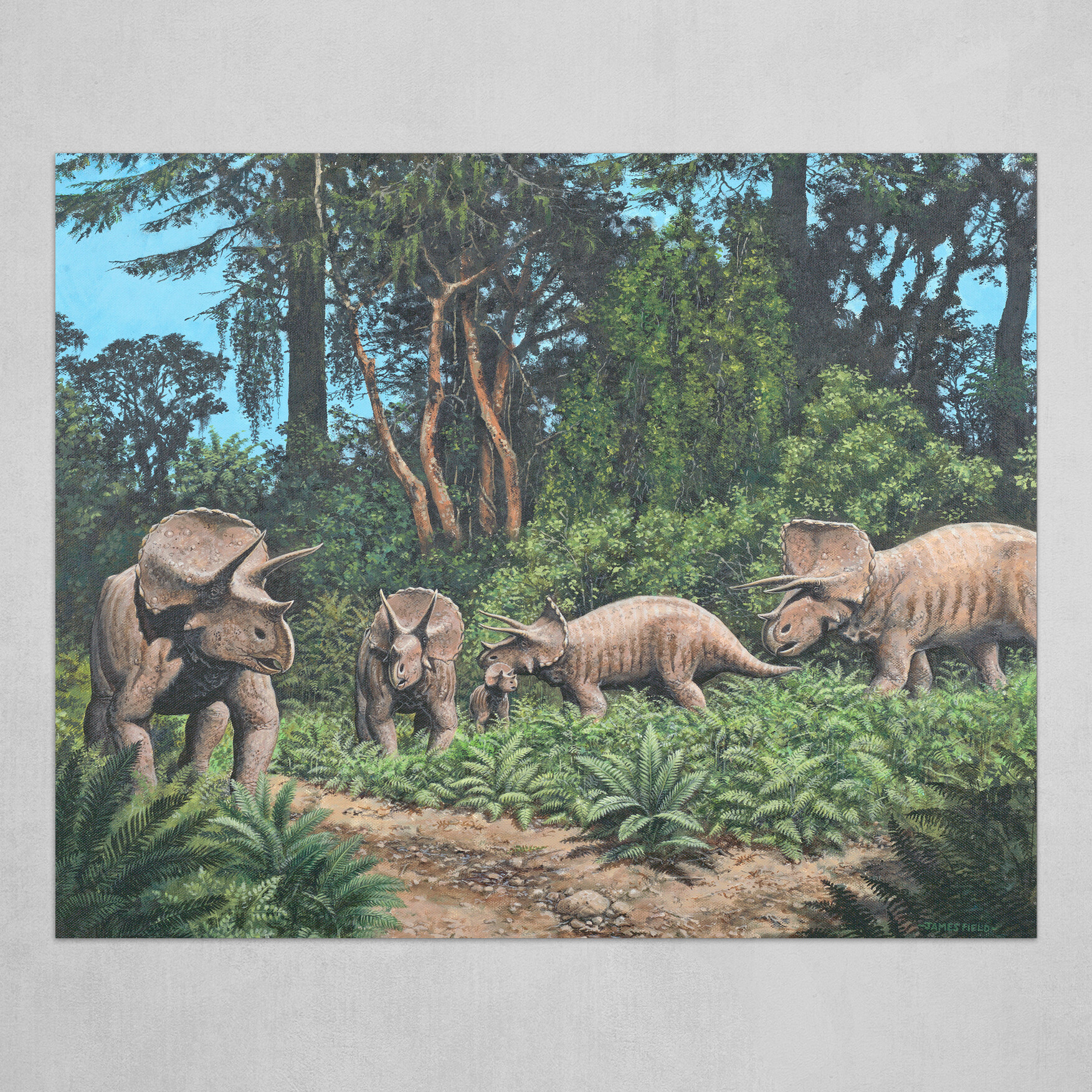 James Field's Triceratops