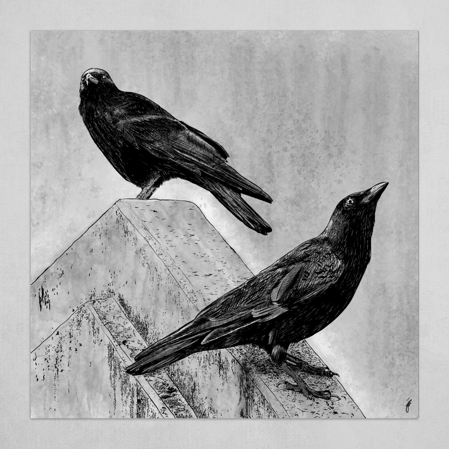 two crows pose