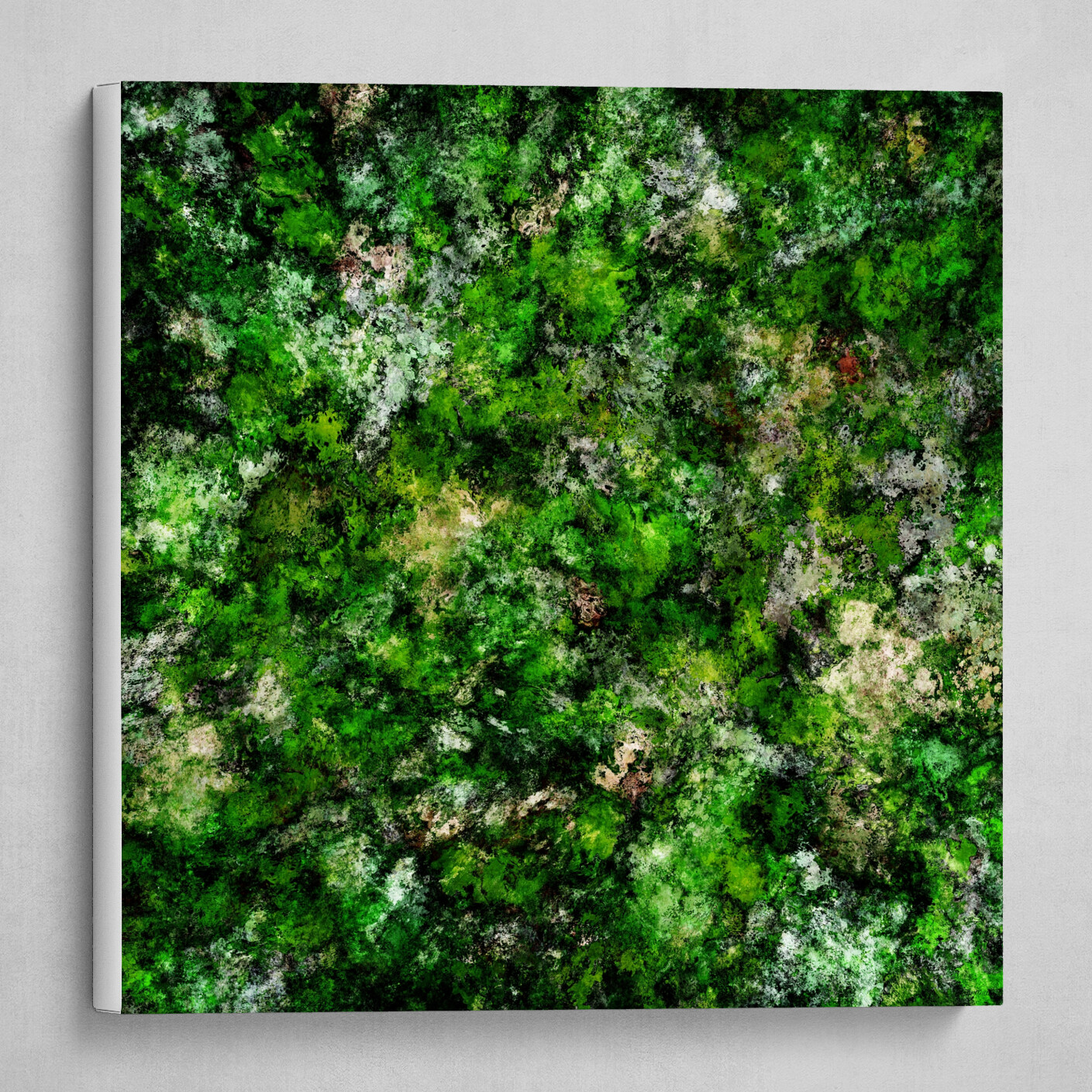 Damp green rocks