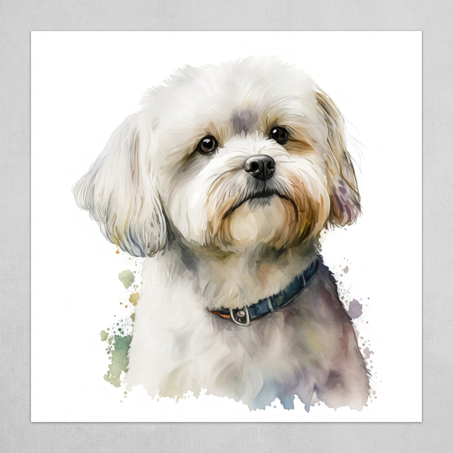 Maltese dog portrait (character, diet,care)