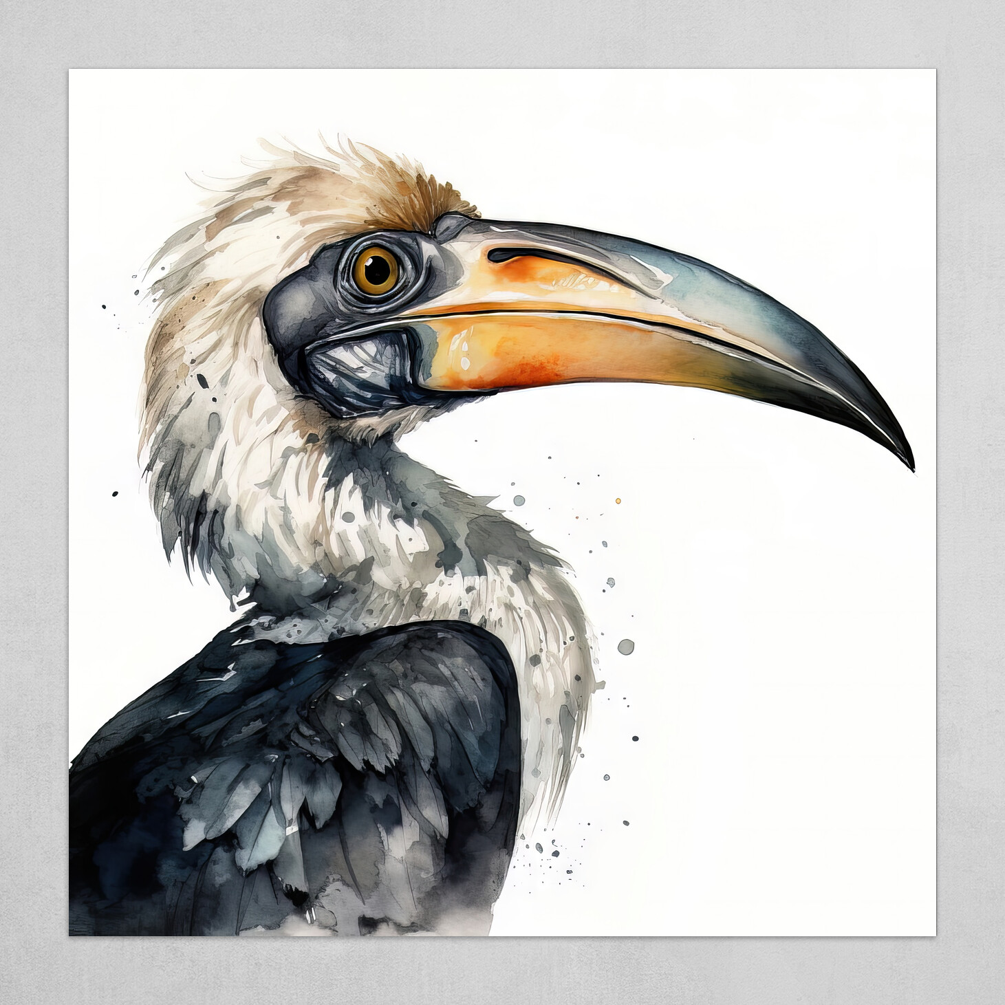 Hornbill Festival White Background PNG Images | PSD Free Download - Pikbest