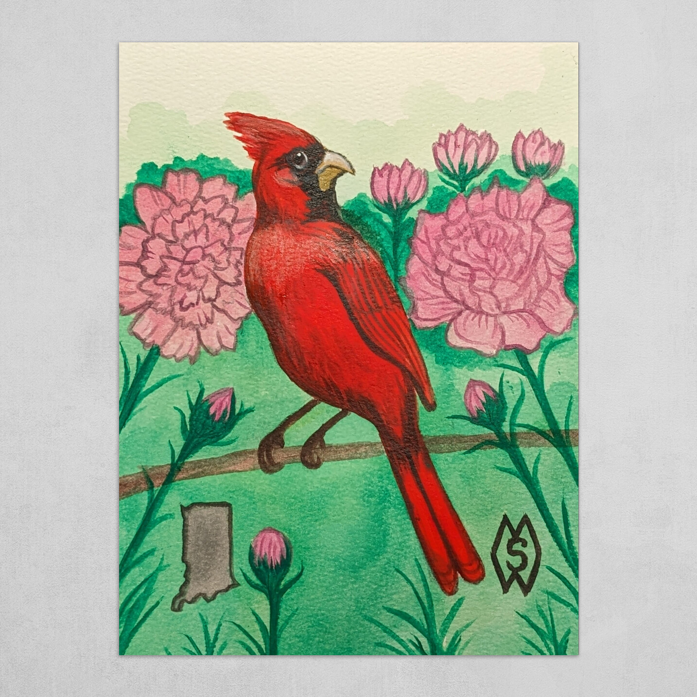 Indiana state bird | Cardinal