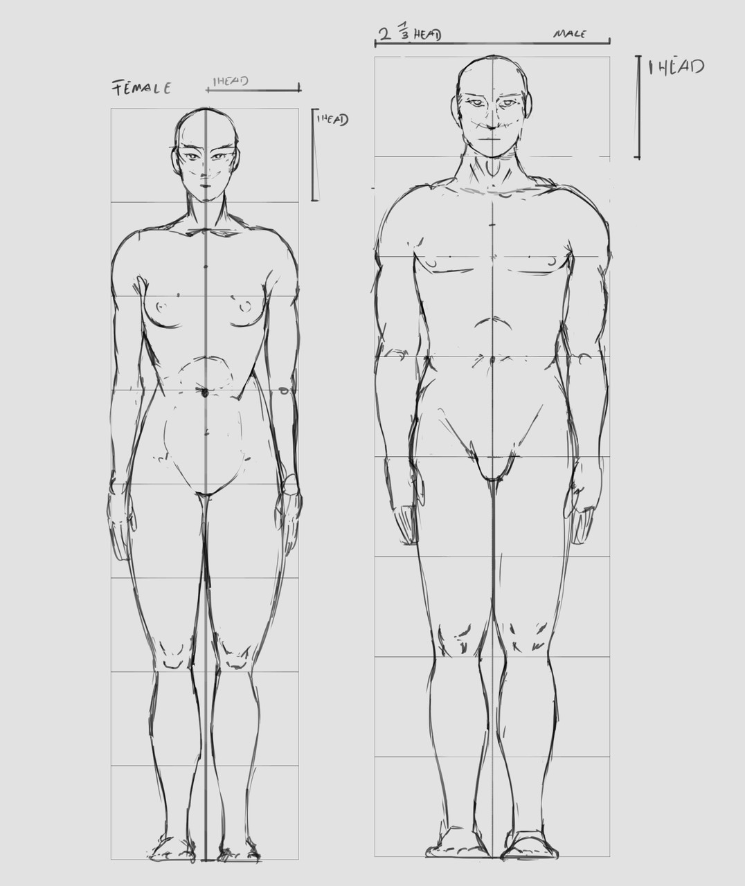 Michael Gruber Art School For Digital Artist Term 1 Base Model Of Human And Dayli Sketches Free character posing tool for figure drawing, comic illustration, sketching, fashion design. base model of human and dayli sketches