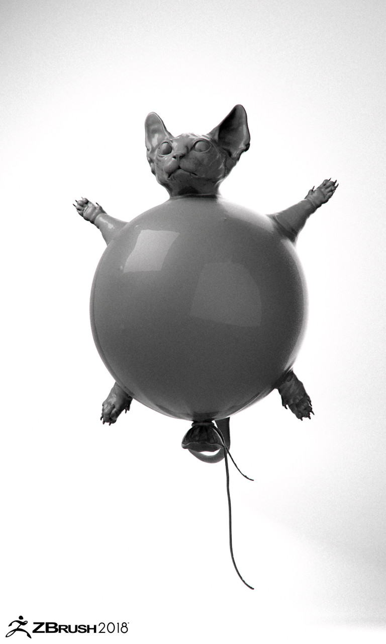 bal_cat_01b.jpg