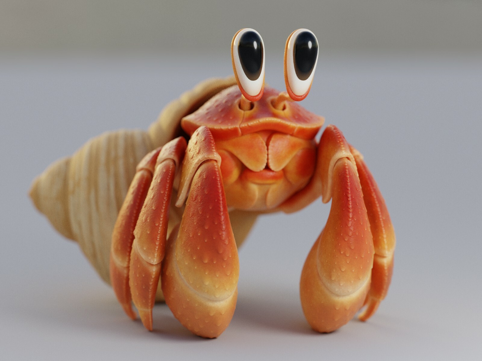 Herman hermit crab shop