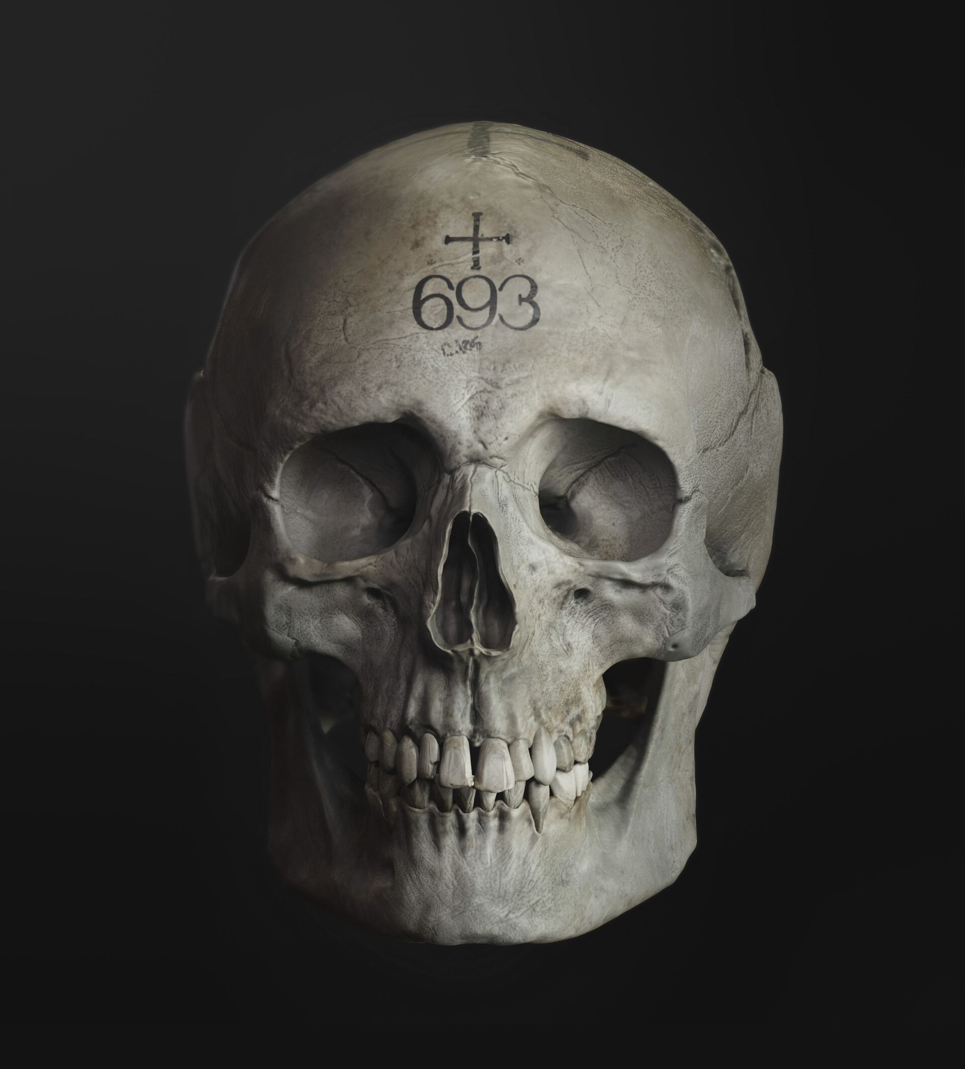 ArtStation - Gnomon Workshop Released - Sculpting the Human Skull