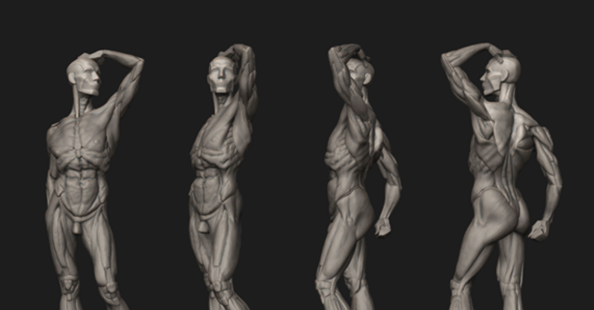 ArtStation Male Body Ecorche