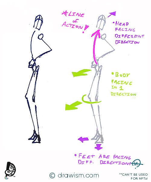 Male Figure Drawing Reference
