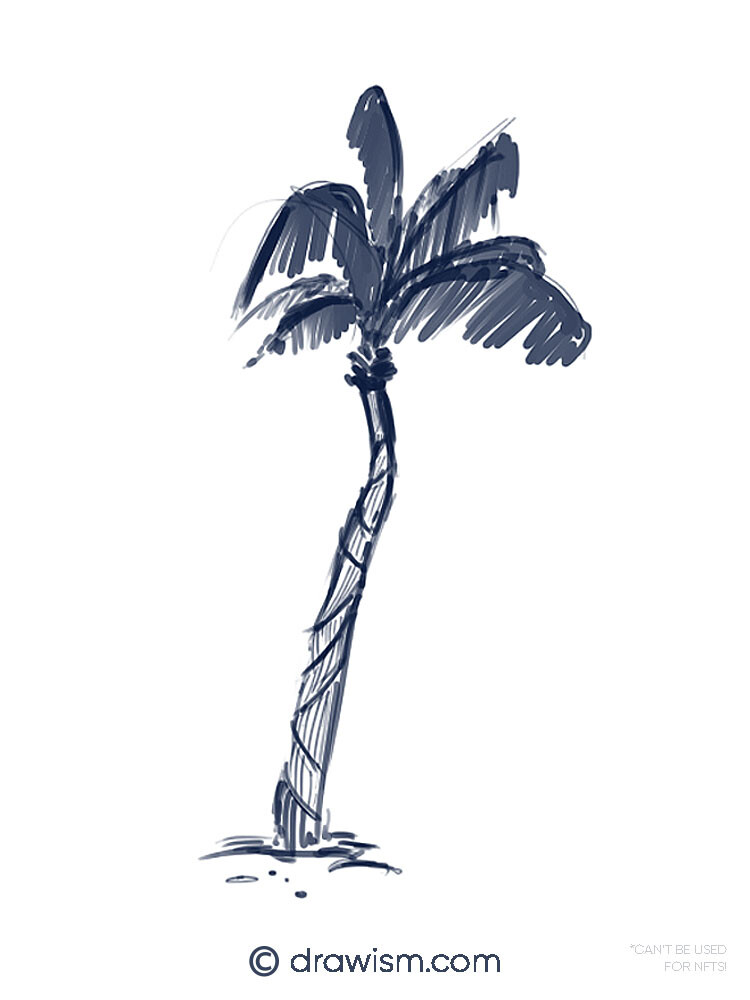 Palm Tree Sketch Vector Hd Images, Sketch Palm Tree Hand Drawn, Tree,  Exotic, Forest PNG Image For Free Download