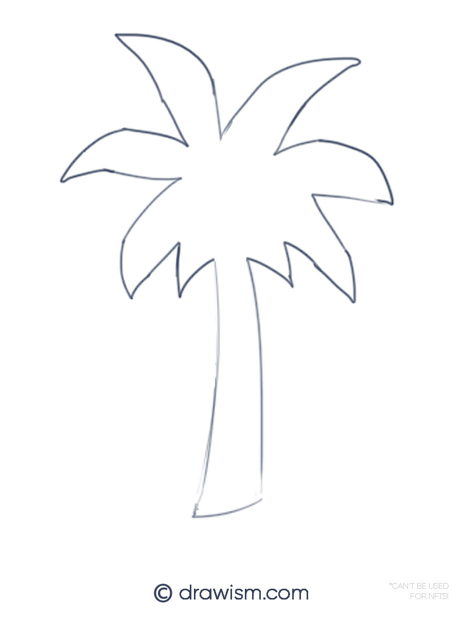 Small Palm Tree Silhouette Transparent Background, Palm Tree Vector  Illustration, Palm Drawing, Tree Drawing, Palm Sketch PNG Image For Free  Download