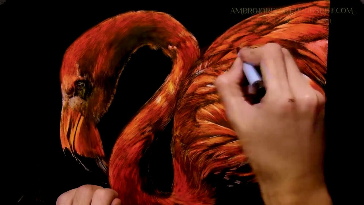 ArtStation Flamingo Scratchboard with Color + Timelapse