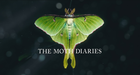 Moth diaries intro.mov snapshot 00.51  2018.03.06 11.09.27 