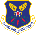 Air force global strike command.svg